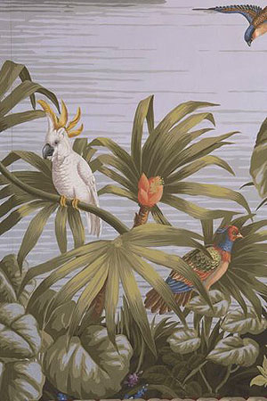 Tapeten Wandbild 03 Brasilien Motiv mit Papagei u.a. Vögeln online kaufen