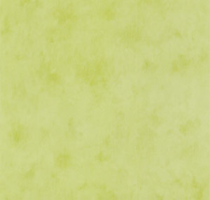 Tapeten Farbe grün changierend Muster 36-688866