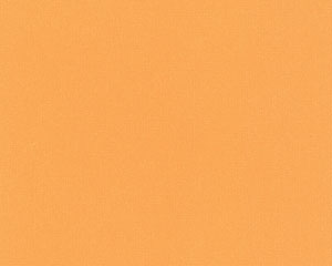 Vliestapete orange glatt Uni Farben 589125 kaufen