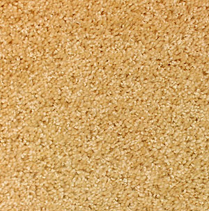 Teppichboden Wolle Auslegware orange 3555 online kaufen