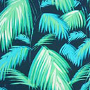 Tapeten Palmen aus Berlin online kaufen