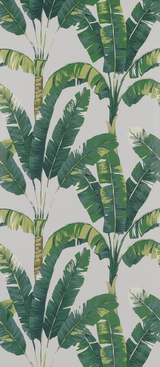 Blumen Tapete Palmen aus Berlin zum online kaufen